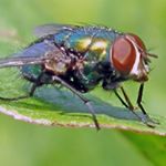 zo života džordža😂❤ - Instagram Profile Picture of zo života džordža😂❤ (@georgeoalamucha) on Instagram