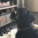 Profile Picture of Suzanne Toler (@dudley_toler821) on Instagram