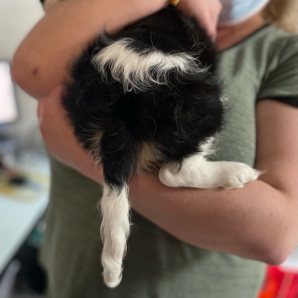 Devin Gorfinkle - Poshmark Profile Picture of Devin Gorfinkle (@devingorfinkle) on Poshmark