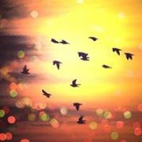 Profile Picture of Naina Saita (@naina-saita) on Quora