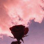 Profile Picture of Gacha_Lena_Issam (@lena_issam) on Instagram