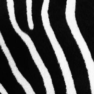 Profile Picture of Jordyn Grant (@grant_jordyn) on Twitter