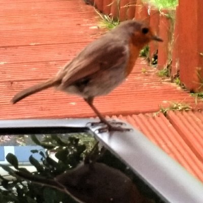 Profile Picture of Colm O Connor (@ColmOConnor17) on Twitter