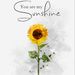 Profile Picture of Ray Cooley (@mrs_KCooley) on Pinterest