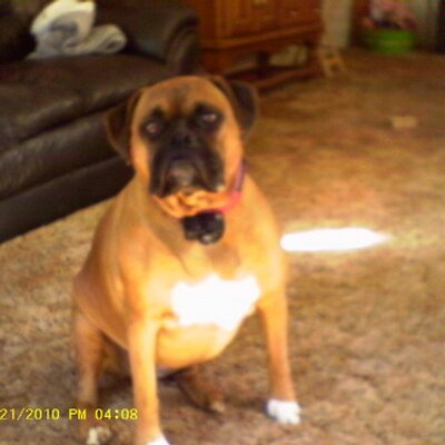 Profile Picture of Joe Charron (@jasper987) on Twitter