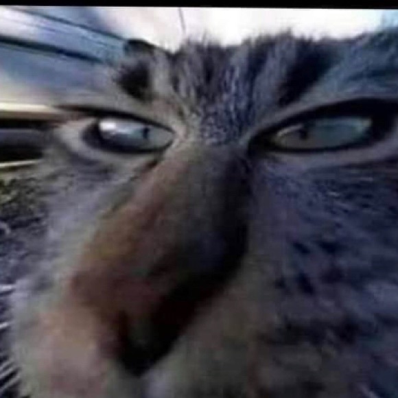 Profile Picture of Felipe Souza (@felipesouza363) on Poshmark