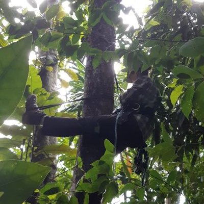 Profile Picture of Monica Griffith (@EmJayGriff) on Twitter