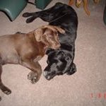 Profile Picture of Bob McIntosh (@bob.kate6) on Instagram