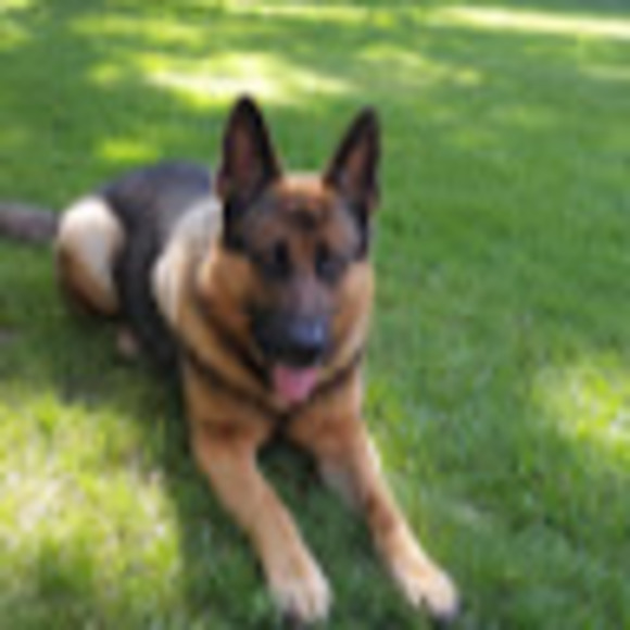 Profile Picture of Paul Curry (@paulcurry176) on Poshmark