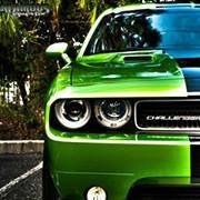 Profile Picture of Hussam Osman (@hussam_osk) on Myspace