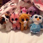 Profile Picture of Tobyspinks (@thebeanieboofamily) on Instagram