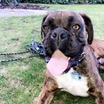 Profile Picture of Oscar Wadewitz 👙 (@oscarwadewitz) on Instagram