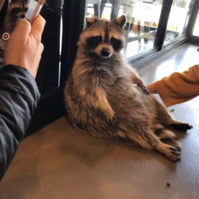 Profile Picture of Max McCoy (@MaxMcCoy12) on Twitter