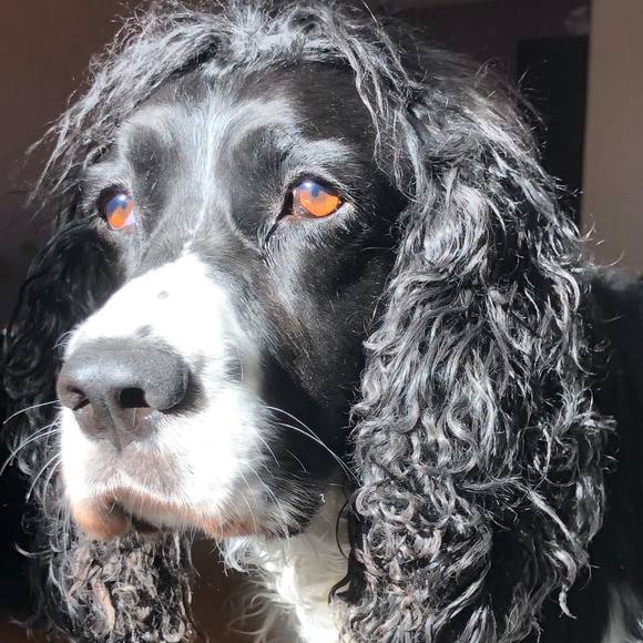 Profile Picture of Karie Macmullin (@owenkarie) on Poshmark