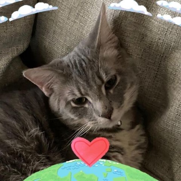 Profile Picture of Andrew Weir (@twishiningfan) on Poshmark