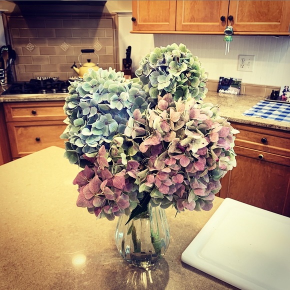 Profile Picture of Jordan Oconnor (@jlmanly) on Poshmark