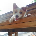 Profile Picture of James Carlo (@James-Carlo) on Facebook