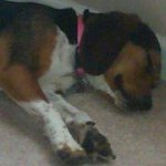 Profile Picture of Wayne Brantley (@wcbrantley) on Instagram