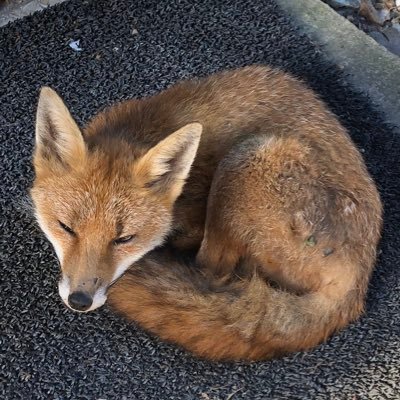 Mark Beard - Twitter Profile Picture of Mark Beard (@beardy1889) on Twitter