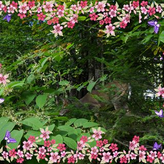 Profile Picture of Jean Viger (@jean.viger.73) on Facebook