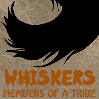 Profile Picture of Stephen S Reardon (@membersofatribe) on Twitter