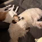 Profile Picture of Adam Decker (@Adam-Decker) on Facebook