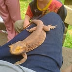 Profile Picture of Joseph Hawkins (@joseph.hawkins.907350) on Facebook