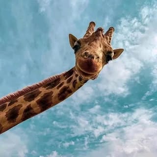 Profile Picture of Vincent becton (@vincent_becton) on Instagram