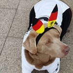 Profile Picture of Matthias Zerbe (@zerbematthias) on Instagram