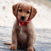 Profile Picture of Amber Roberts (@amberroberts3018) on Youtube