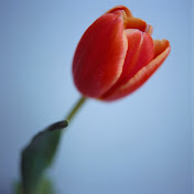 C Jones - Youtube Profile Picture of C Jones (@cjones2348) on Youtube