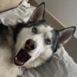 Profile Picture of Kevin Konieczny (@kevontaethe1st) on Instagram