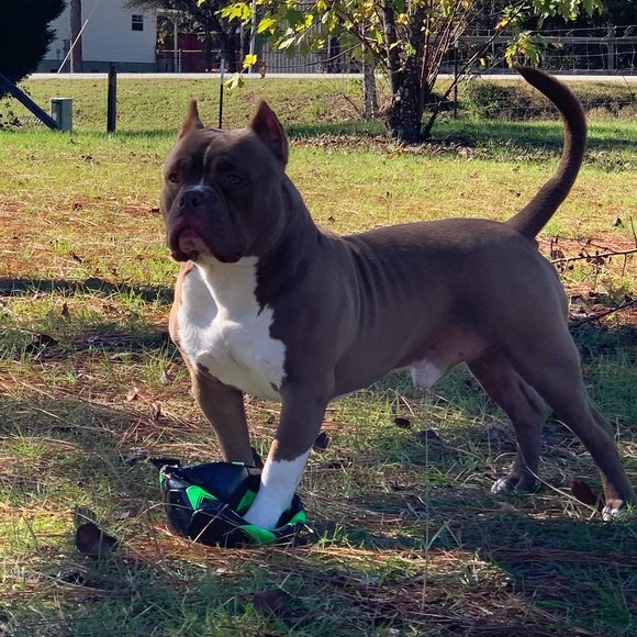 Profile Picture of John Kellum (@jpk1580) on Poshmark