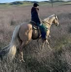 Profile Picture of Whitney Shull (@Whitney-Shull) on Facebook