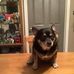 Profile Picture of Bobbie Carpenter (@bobbie.carpenter.90475) on Facebook