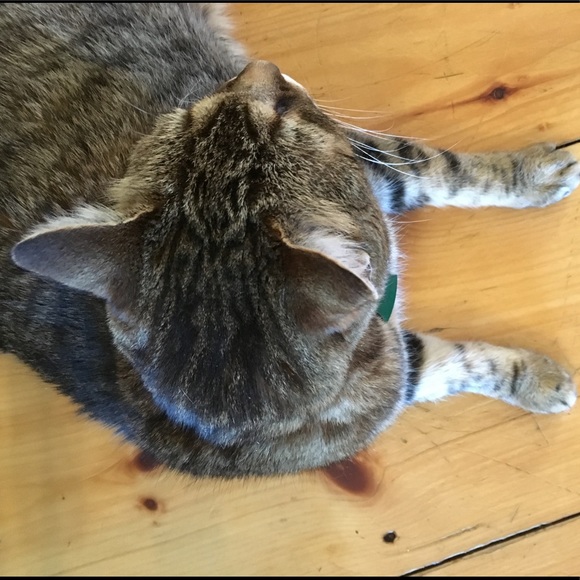 Profile Picture of Marlene Reilly (@marlyarly) on Poshmark