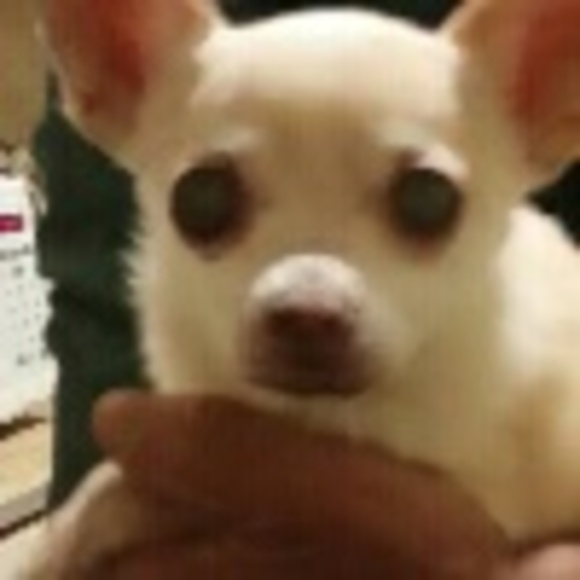 Profile Picture of Steve Lowry (@slowy) on Poshmark