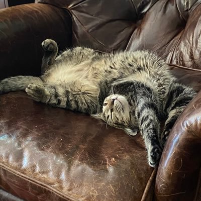 Profile Picture of Pat Richards (@latrobepat) on Twitter