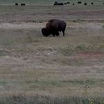 Profile Picture of Jerry Weidner (@jerry.weidner.73) on Instagram