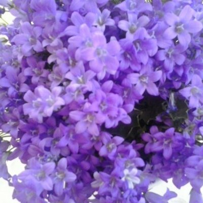 Martine Guslund - Twitter Profile Picture of Martine Guslund (@071e80c38d644a3) on Twitter