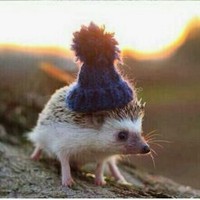 Profile Picture of Gargi Mahajan (@gargi-mahajan-2) on Quora