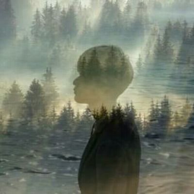 Profile Picture of 维周之桢 🇨🇳一個中國！ (@KennyLiang_) on Twitter