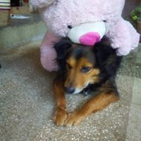 Profile Picture of Shantha Murthy (@shantha-murthy-13) on Quora