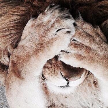 Profile Picture of Peter Joseph Repole (@RepolePeter) on Twitter