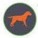 Profile Picture of Brian Riha (@brianr2208) on Pinterest