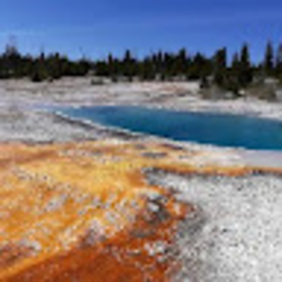 Profile Picture of Troy Carlson (@troycarl) on Poshmark