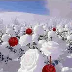 Profile Picture of Stacy John (@Stacy-John) on Facebook