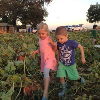 Profile Picture of Shark (@davidkahn49) on Twitter