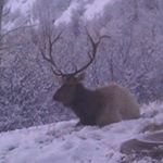 Profile Picture of David Danforth (@dldan4th) on Instagram