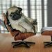 Profile Picture of Jim Stevens (@jimbojimble) on Pinterest